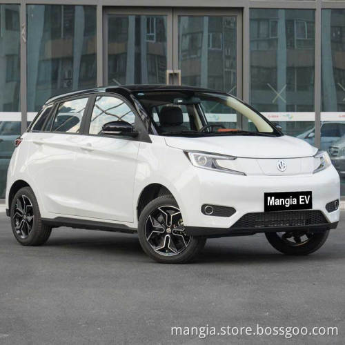 New energy electric vehicle YOUNGGUANGXIAOXIN adult driving 408KM high quality mini car for sale